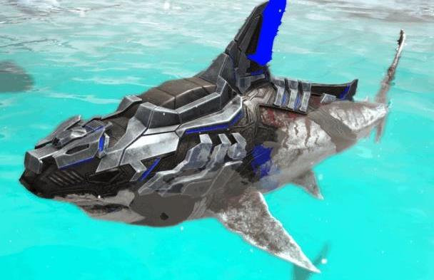 另一种是巨齿鲨泰克鞍.超级帅!