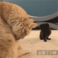 有没有比较黄的游戏