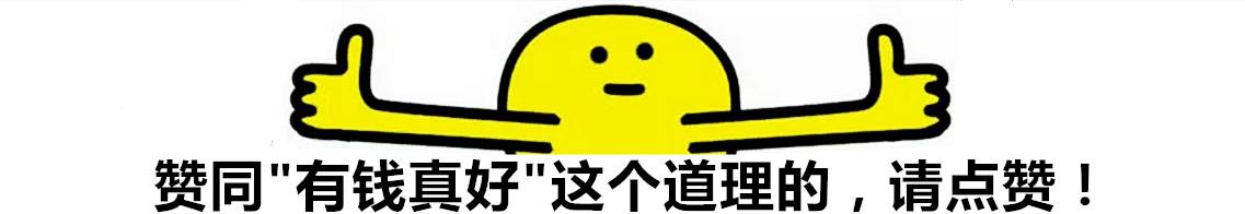 有钱人真会玩，爆改