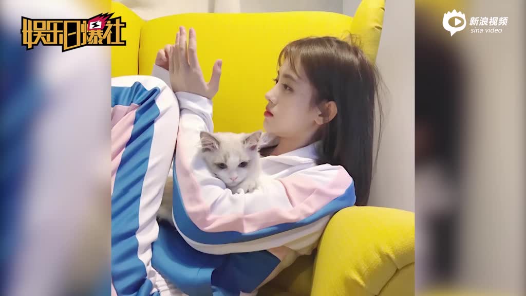 鞠婧祎宠溺逗萌猫清纯又养眼