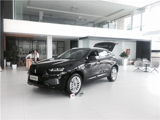 WEY首家4S店发声能成功吗？