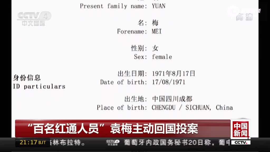 百名红通人员袁梅主动回国投案