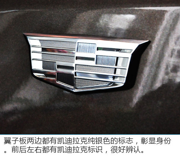 凯迪拉克的-图10