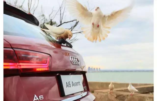 新车丨45.98万承载的梦与远方，<a class=