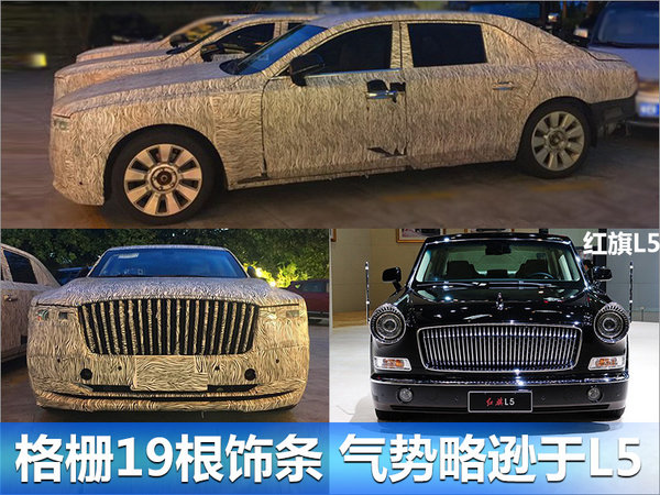 红旗全新D级轿车-图2