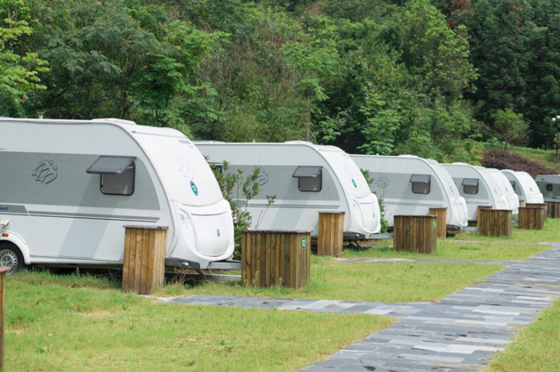 A16b8f41056f40bd8eeb3b9c72ceaee9.thumb_head