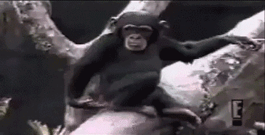 二手车的陷阱！教你如何鉴别泡水车！