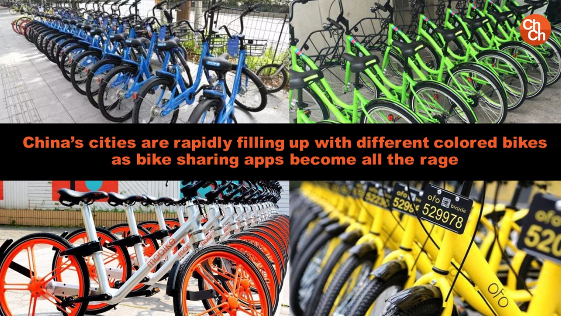 乐视在造车路上渐行渐远 ofo却因单车步步生风