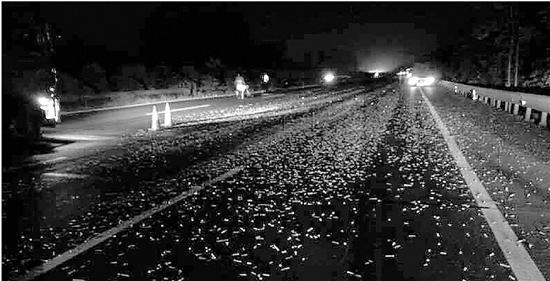 货车狂洒40多公里螺丝钉 高速百余辆车集体遭殃