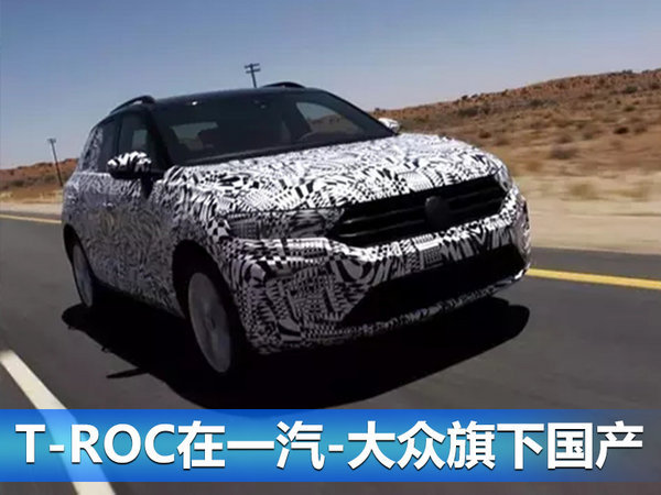 一汽-大众品牌明年推7款新车 小SUV即将国产-图4