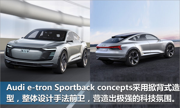 奥迪将推3款高性能纯电动车 全面PK特斯拉-图3