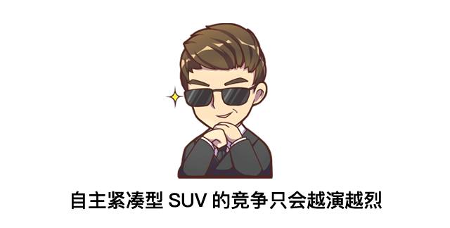 中型SUV最便宜竟不到6万！却遭对手围攻