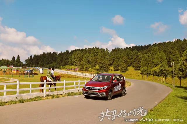 5.99万起，长安欧尚A800疯了么？