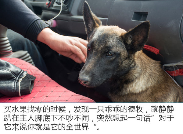 在机场做这种事也行？  科雷傲青海湖“4+2+1”活动-图13