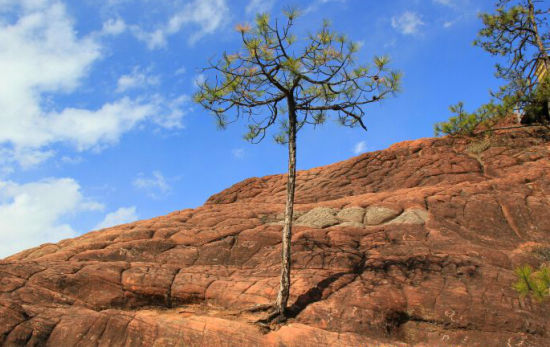 千龟山风景很不错