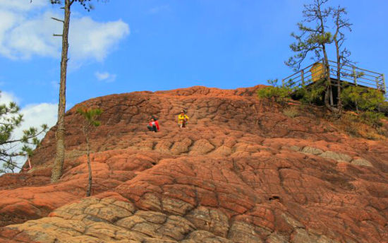 与千龟亲密接触