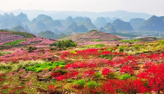 赏不尽的满目芬芳