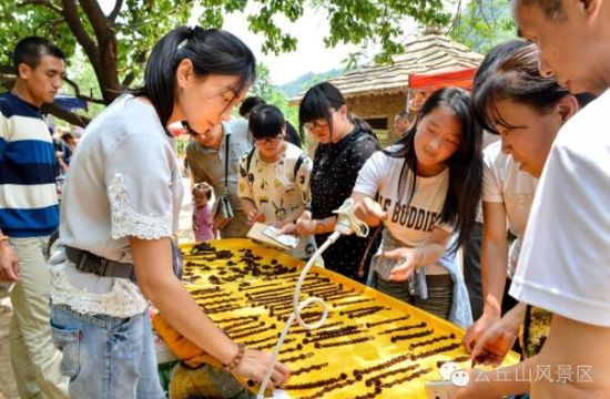 云丘山音乐节圆满落幕 吸引万千“乐迷”狂欢