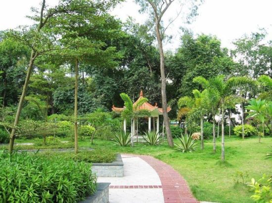 广西大学 图：新浪博主/蔚蓝的天空A