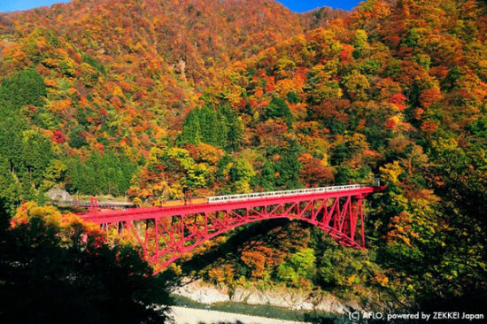 梦幻而夺目的日本枫叶绝景