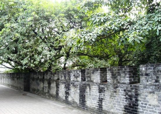 防洪古堤 图：新浪博主/长人北京