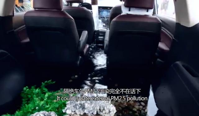 这是一个鱼儿车中游的故事