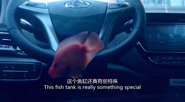 这是一个鱼儿车中游的故事
