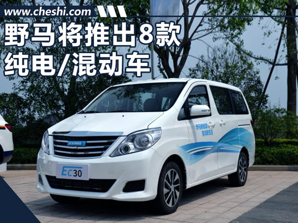 野马将进入产品爆发期 规划推8款纯电/混动车-图1