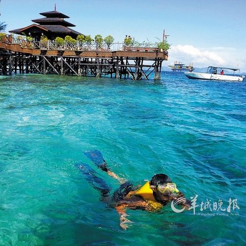马来西亚仙本那 原始海岛的仙境生活 手机新浪网