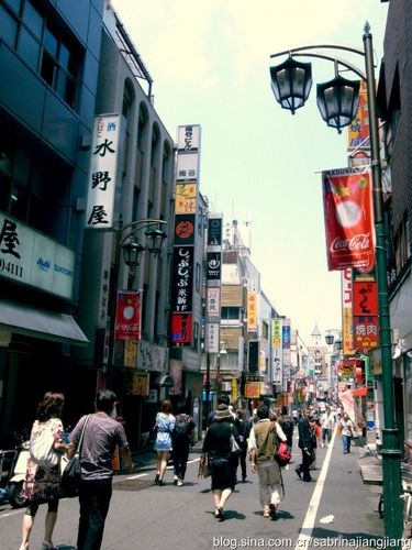 一夜 东京 新宿红灯区的那点事 图 手机新浪网