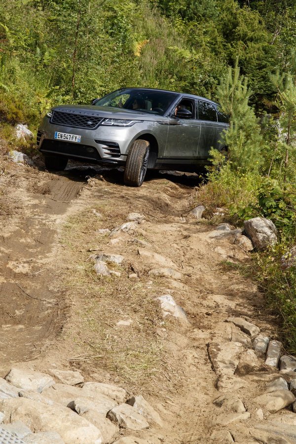 漂亮得不像实力派-图8