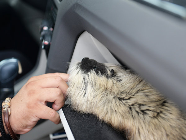 高尔夫嘉旅——魔术师眼里的空间艺术-图9