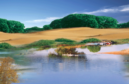 花马寺国家森林公园