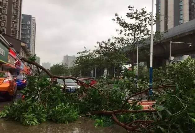 台风强暴雨来袭，「自动启停」请马上关掉