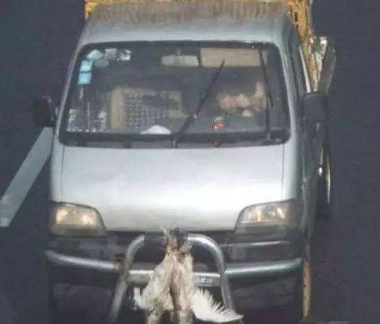 [转帖]冤枉！安好了车牌，也没有遮挡，却被扣12分？