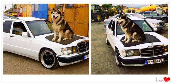 百年世家里的“小鲜肉”，奔驰C级逆袭史