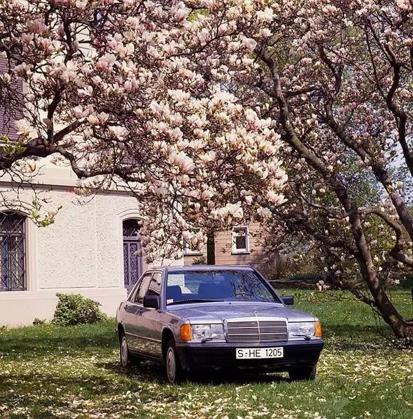 百年世家里的“小鲜肉”，奔驰C级逆袭史