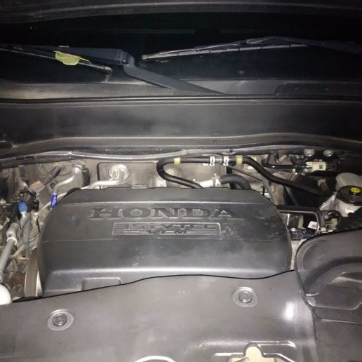 孤独的飞行员——本田Pilot。