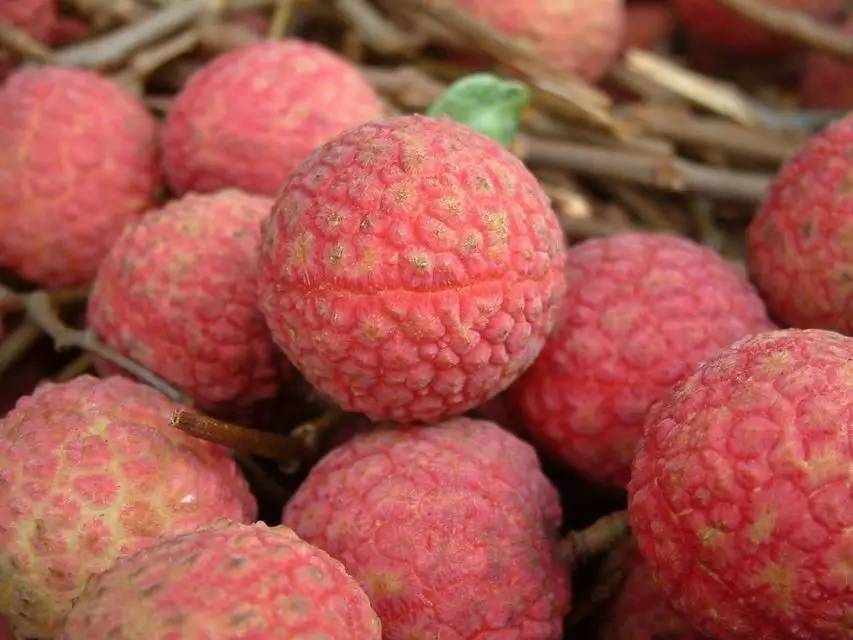 没喝酒也可能酒驾？