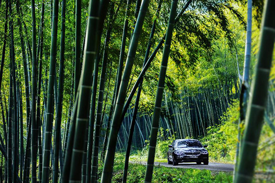 激情点燃不朽 经典不畏新生 全新BMW5系Li论设计之美