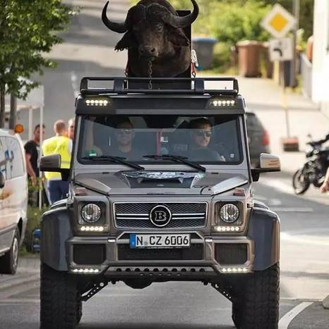 6轮皮卡居然要988万，底盘不输乌尼莫克，却被光头小伙买回家拉柴