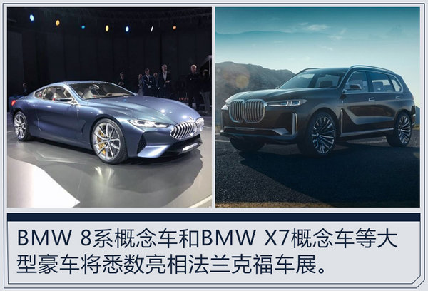 专注大型豪车服务 宝马将发布专属推广标识-图4