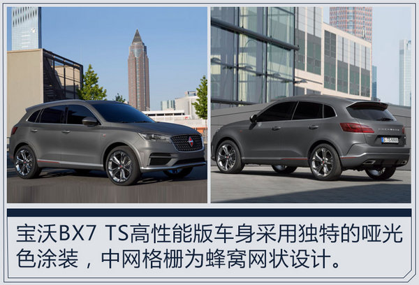 宝沃BX7 TS今年第四季度 将在德国上市销售-图3