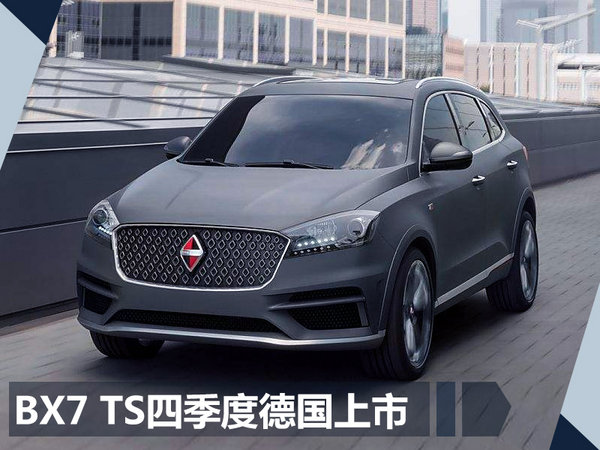 华立新：宝沃汽车销往全球 电动车是终极目标-图3