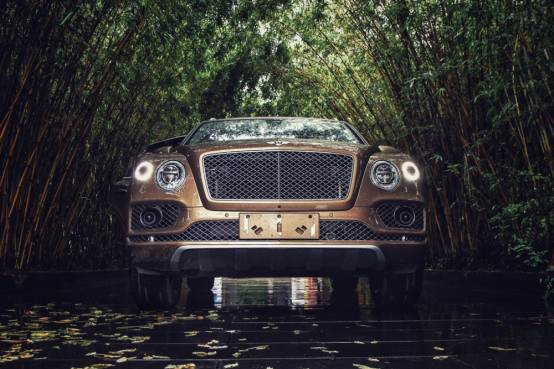 添巴蜀之味，越海川之势——成都试驾宾利添越