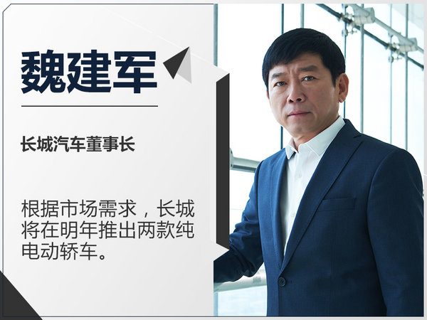 长城明年将推2款纯电动车 续航可达250公里-图1