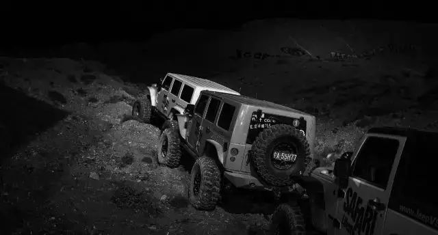 脱去狂野的外衣，车企也玩儿起了走心