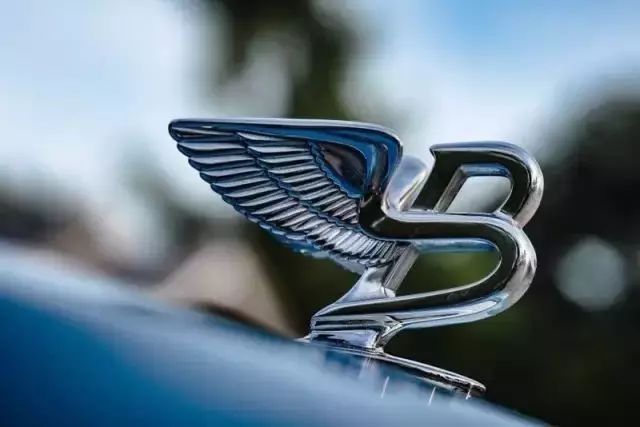 脱去狂野的外衣，车企也玩儿起了走心