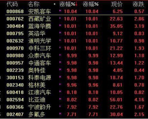 涨停潮之后 国产新能源车发展任重道远