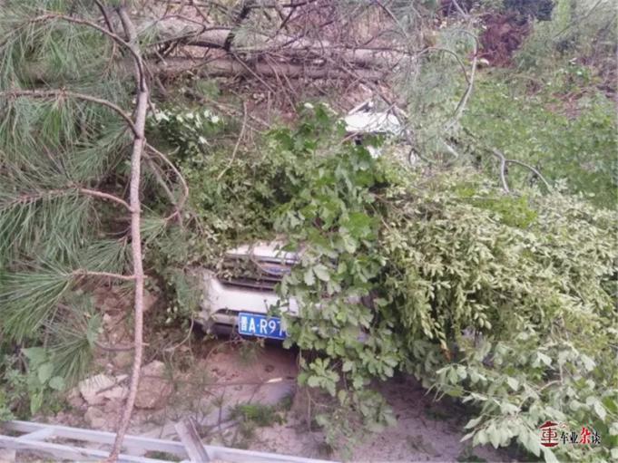 论“皮实耐操”，我只服哈弗H6